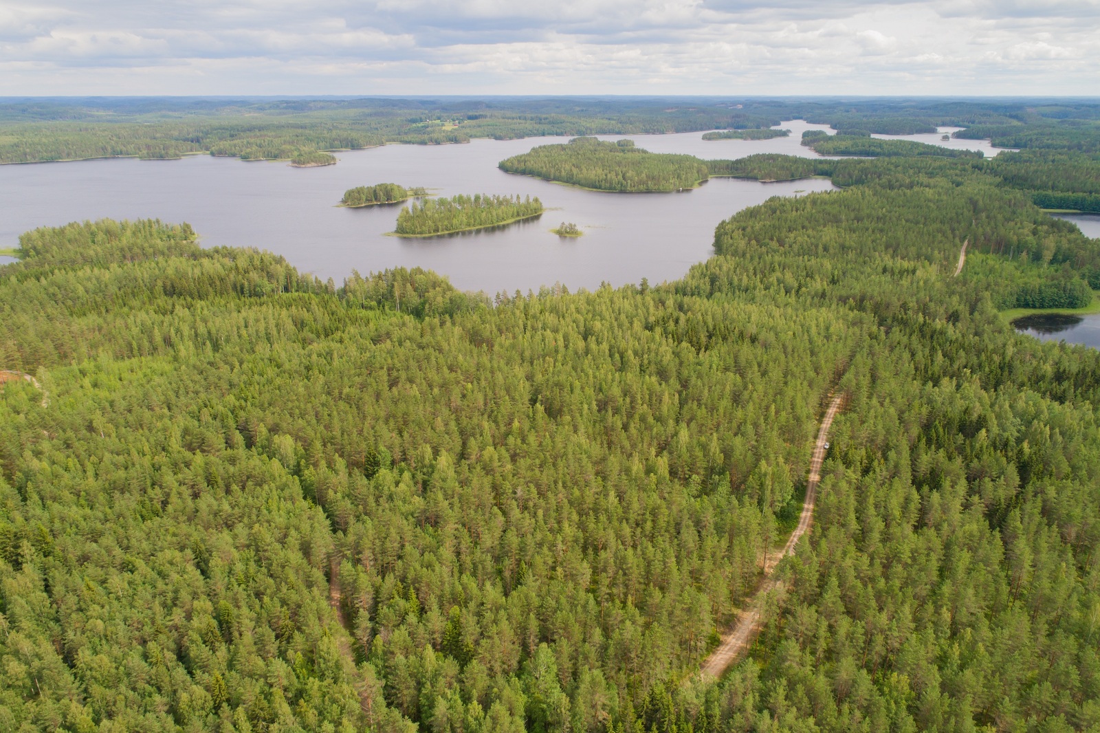 Ilmakuvassa tie kulkee metsän halki kohti horisonttia. Vesistö ympäröi metsäalueita.