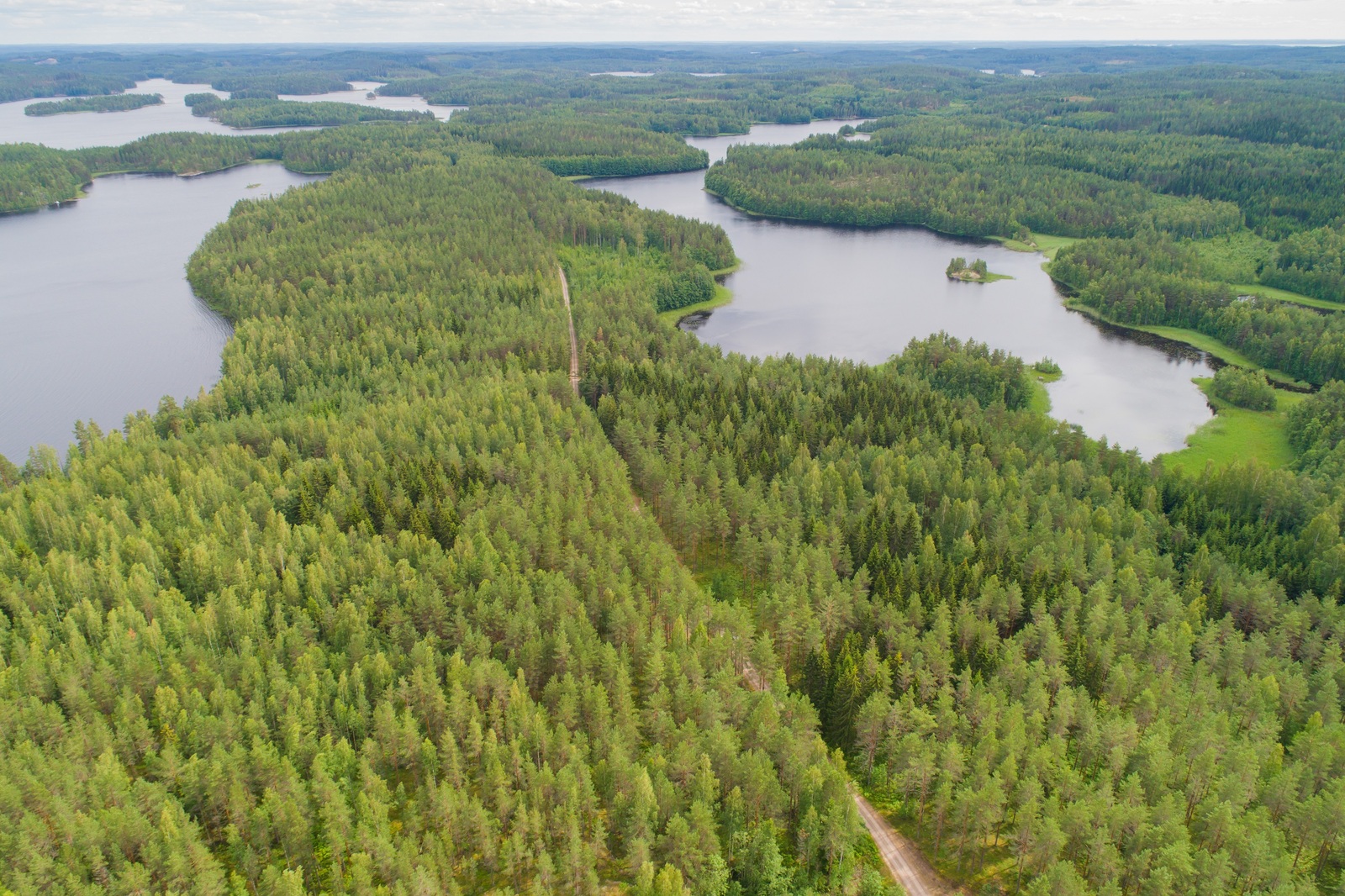 Ilmakuvassa tie kulkee metsän halki kohti horisonttia. Vesistö ympäröi metsäalueita.