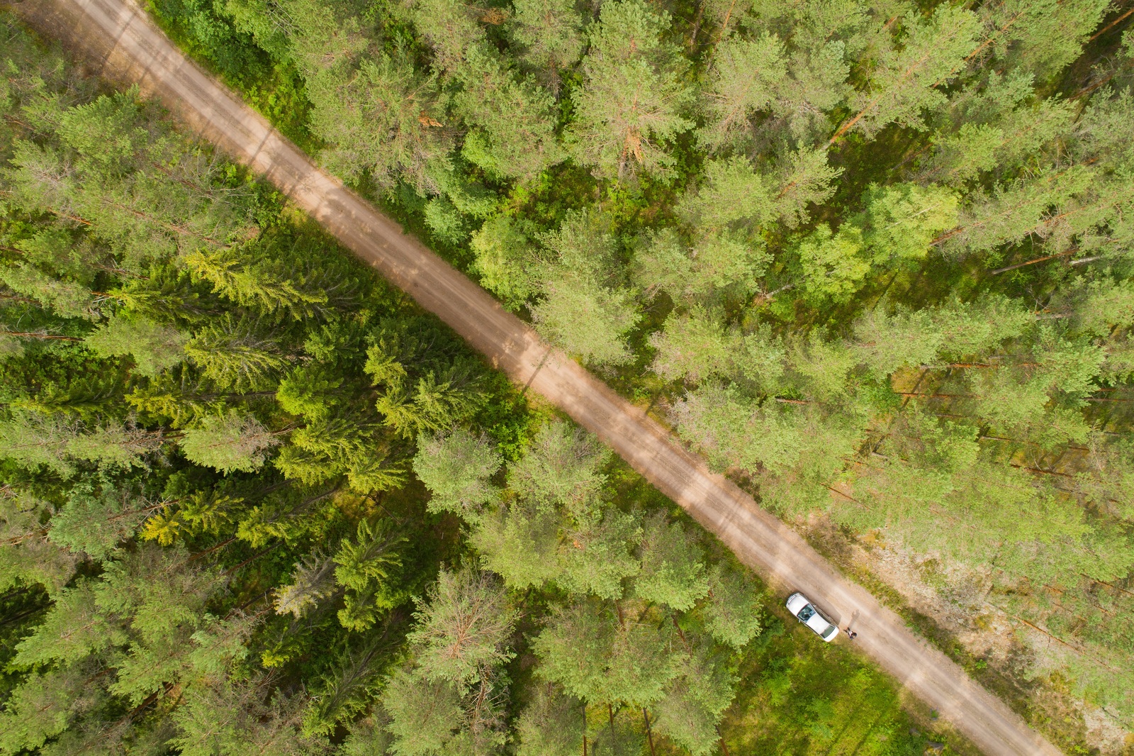 Ilmakuvassa metsän halki kulkevan tien reunaan on pysäköity vaalea auto.