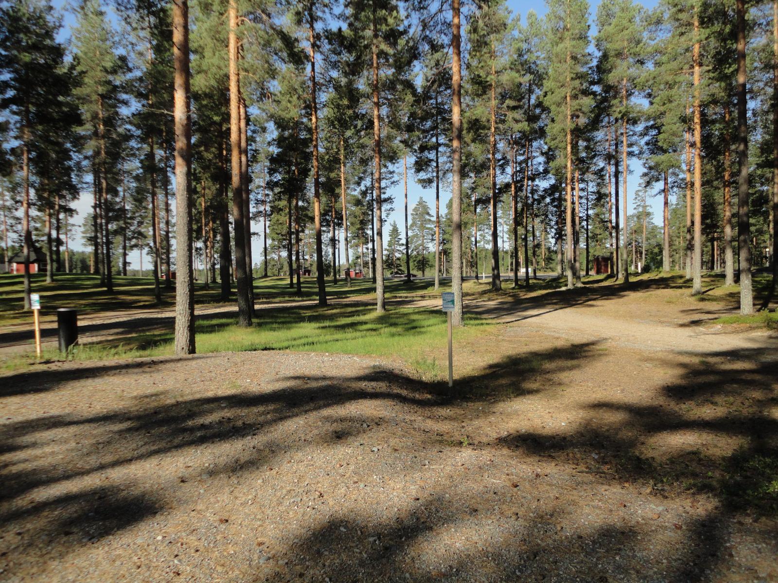 Hiekkatie kulkee aurinkoisessa mäntymetsässä. Puiden takana on kota.