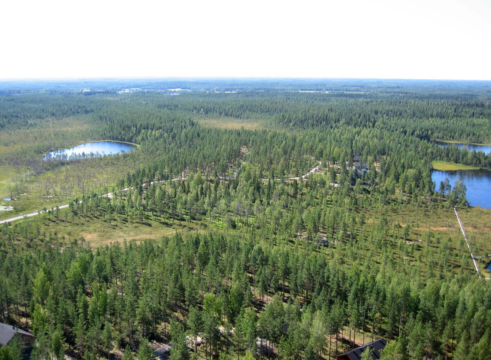 Tie kulkee mökeille suo- ja metsämaisemissa. Oikealla ja vasemmalla on vesistöä. Ilmakuva.