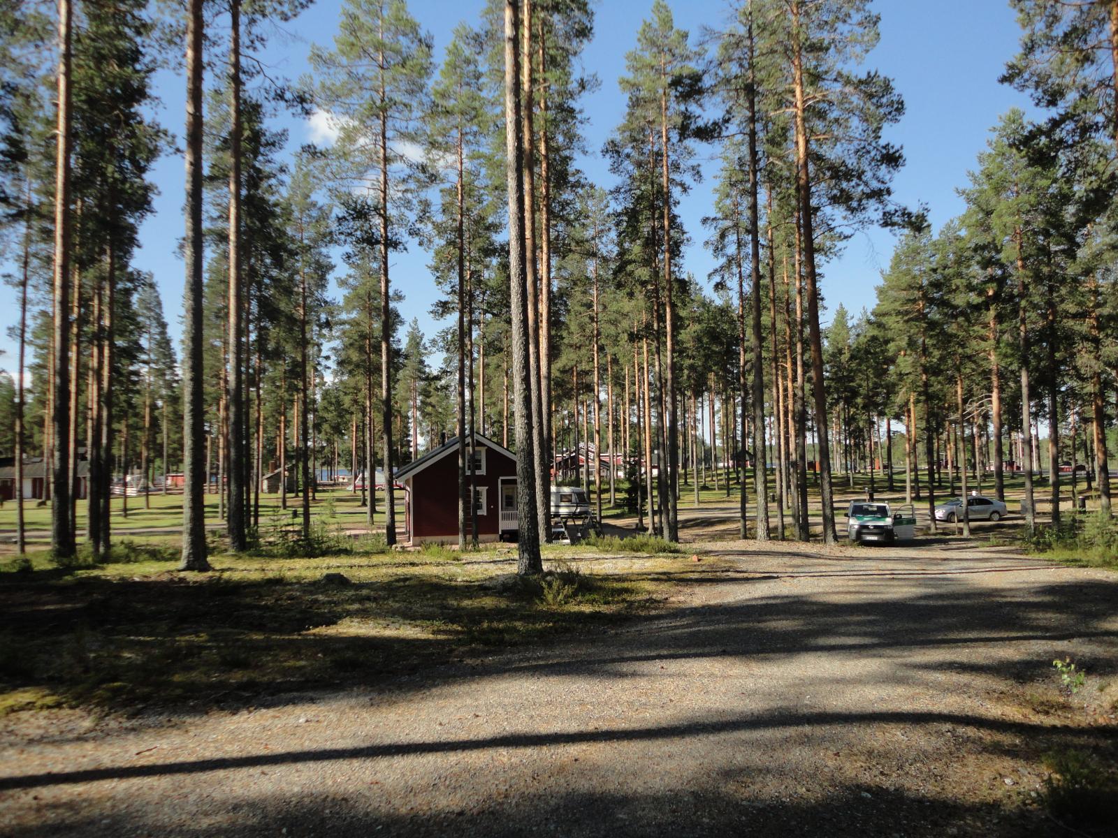 Leirintäalueella on mökkejä sekä henkilö- ja matkailuautoja mäntyjen joukossa.