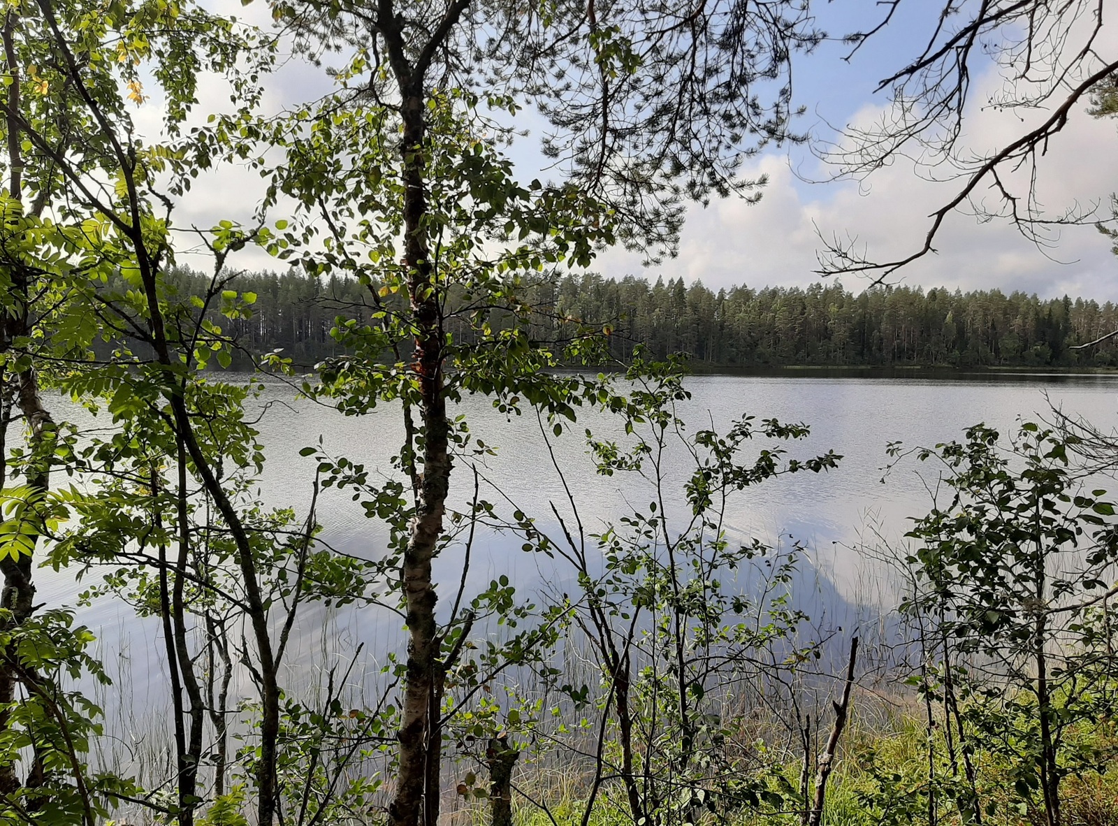 Rannalla kasvavien lehtipuiden takana avautuu järvimaisema. Puolipilvinen taivas heijastuu veteen.