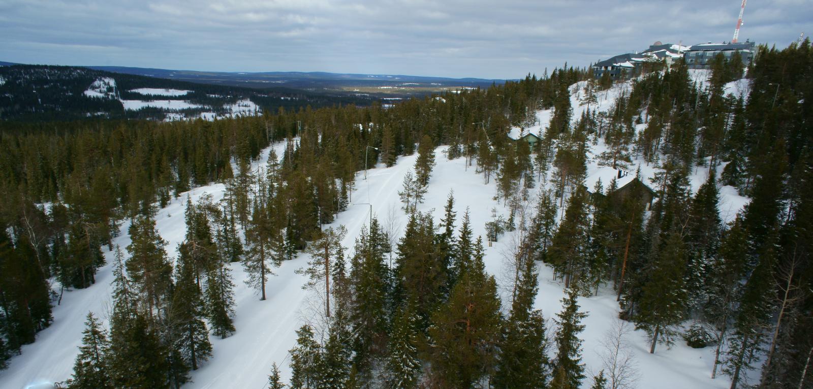 Lumipeitteisessä metsässä kulkee uria ja oikealla kohoavassa rinteessä on rakennuksia. Ilmakuva.