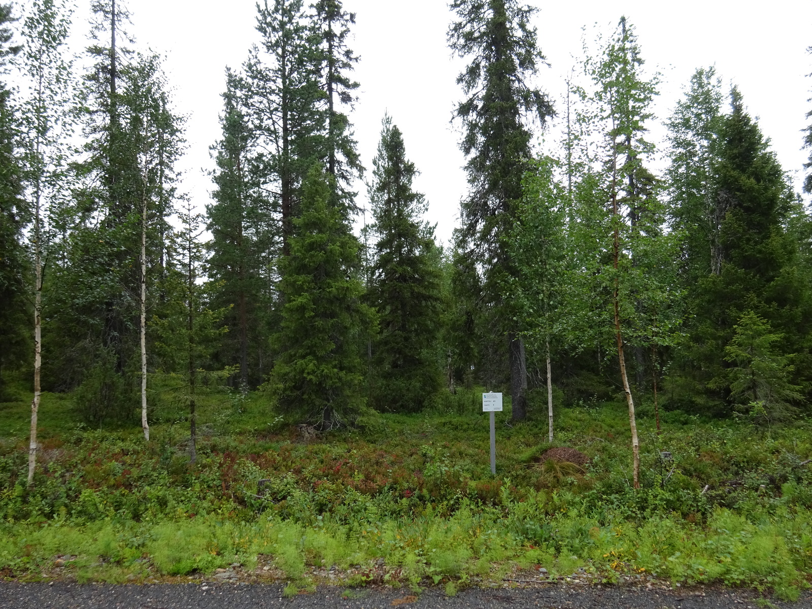 Tontin laidalle on pystytetty tonttitaulu eli opaste josta asiakas voi tarkistaa sijaintinsa.