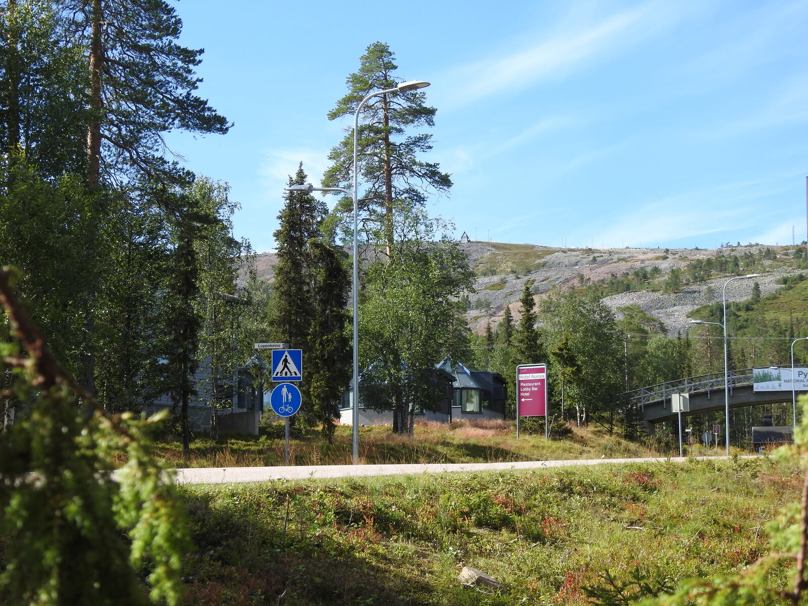 Kuva tontille johtavan tien laidalta, takana näkyy tunturi.