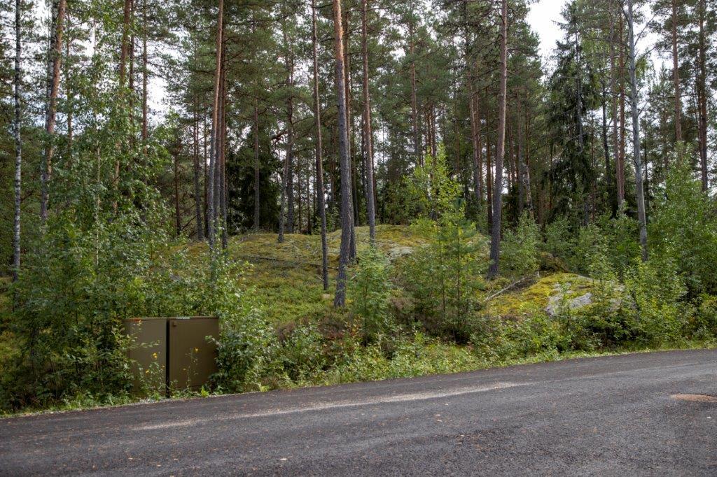 Kadun laidasta alkaa  laidasta alkaa kumpuilevan kallioinen mäntymetsä.