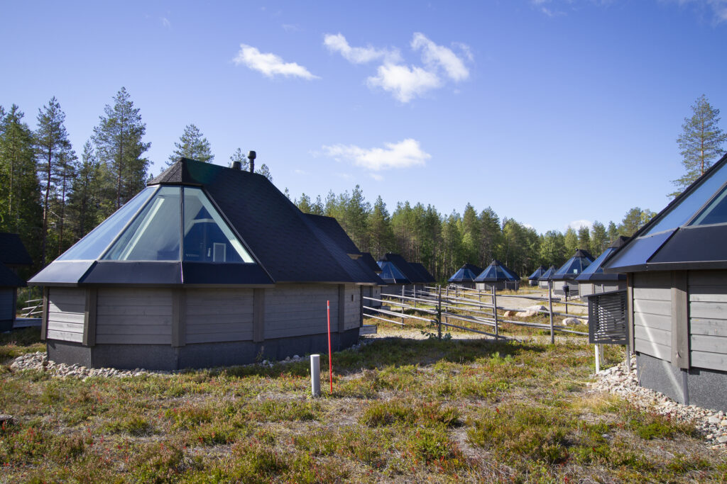 Lasikattoisia kotia on rakennettu kangasmetsämaastoon