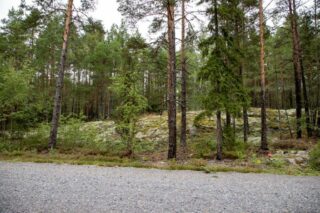 Soratien laidasta alkaa kumpuilevan kallioinen mäntymetsä.