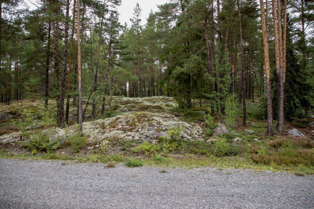 Soratien laidasta alkaa kumpuilevan kallioinen mäntymetsä.