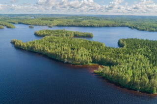 Saari, missä paljon kuusia. Valkoisia pilviä sinisellä taivaalla.