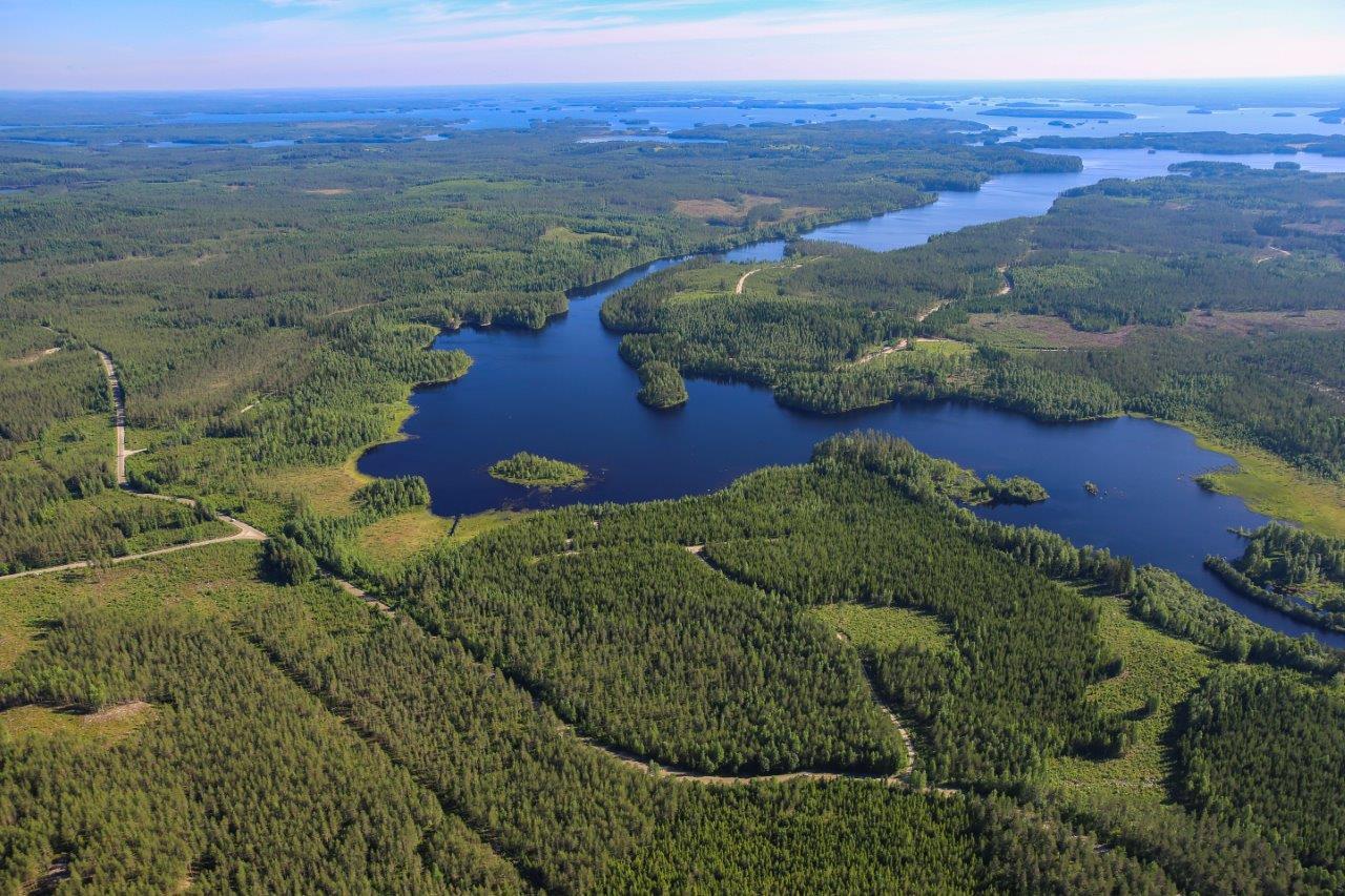 Näkymä kauas Haapajoelle, sekametsää, järviä ja soita.