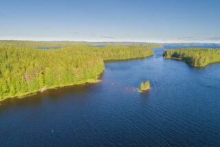 Saari, jossa paljon kuusia ja hieman lehtipuita rannassa.