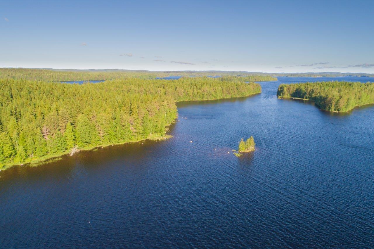 Saari, jossa paljon kuusia ja hieman lehtipuita rannassa.