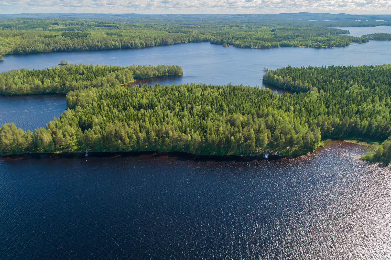 Saari, missä paljon kuusia. Aaltoileva järvi etualalla.