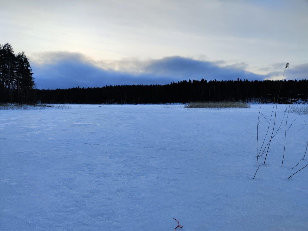 Jäätynyt järven selkä tontilta katsottuna, kaislikkoa pilkistää jään alta.
