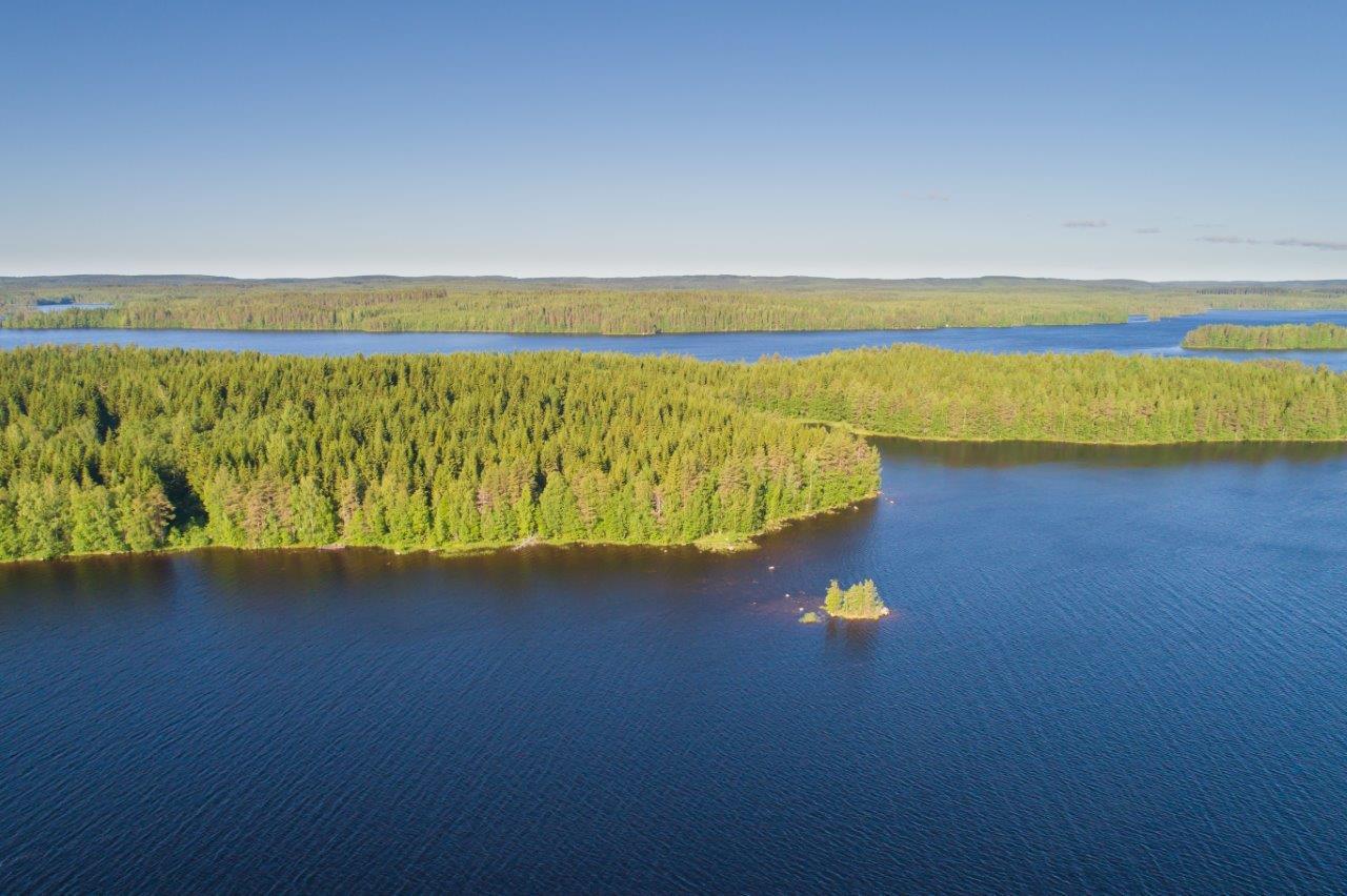 Saari, jossa paljon kuusia ja hieman lehtipuita rannassa.