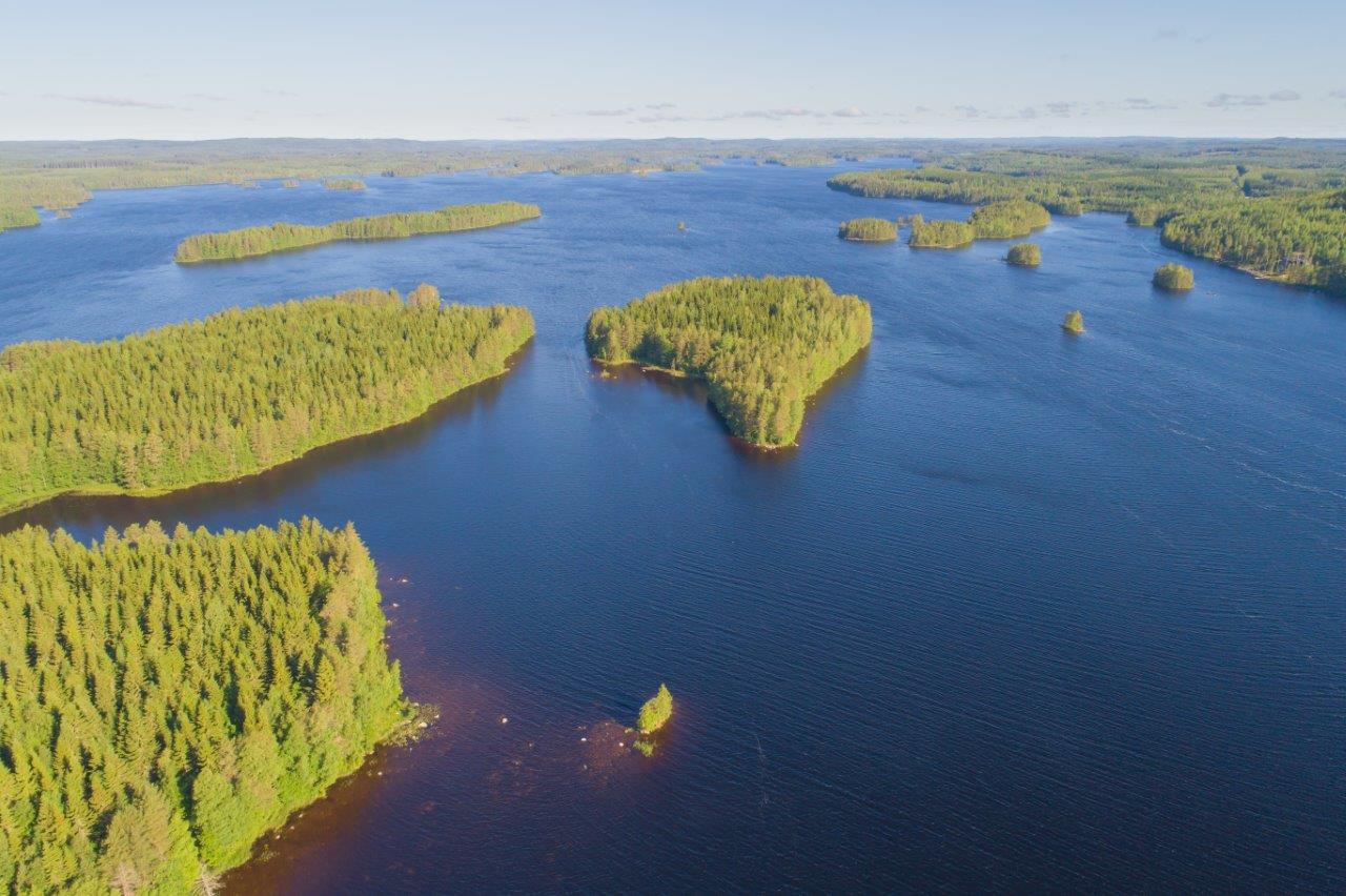 Saari, jossa paljon kuusia ja hieman lehtipuita rannassa. Saaren edustalla pienempiä saaria.