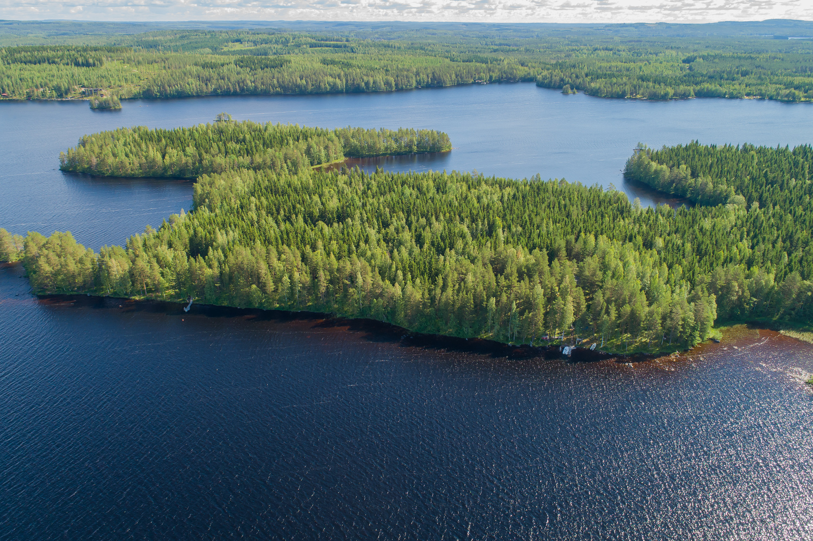 Saari, missä paljon kuusia. Aaltoileva järvi etualalla.