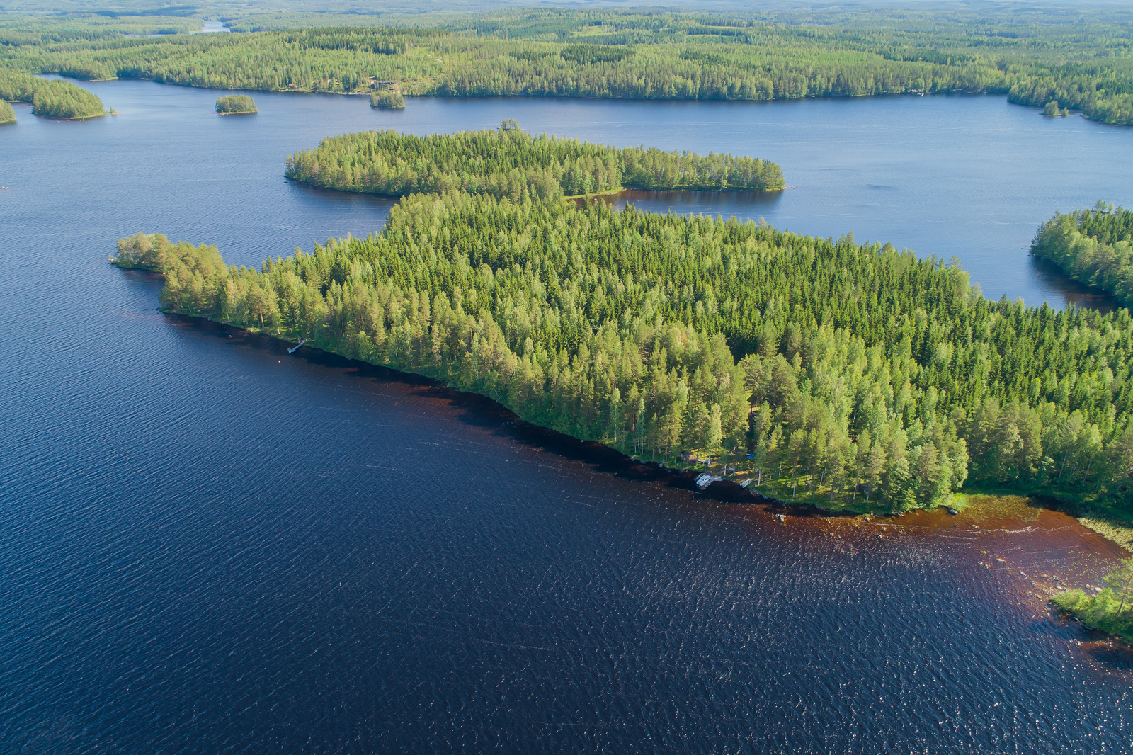 Saari, missä kuusia. Aaltoileva järvi etualalla.