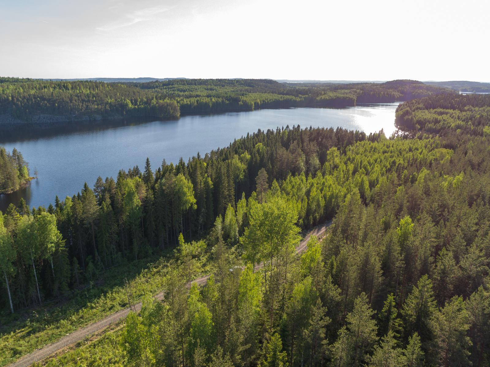 Ilmakuvaa tontin takaa ulapalle. Metsäautotie näkyy etualalla, metsässä kasvaa paljon kuusia.