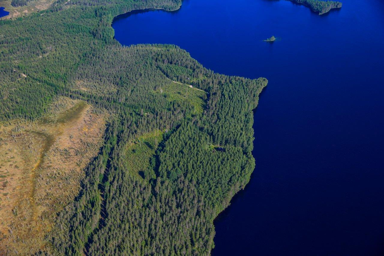 Mantereen puolella sekametsää, hakkuuaukkoja ja suoalue, oikealla avautuu järvi.