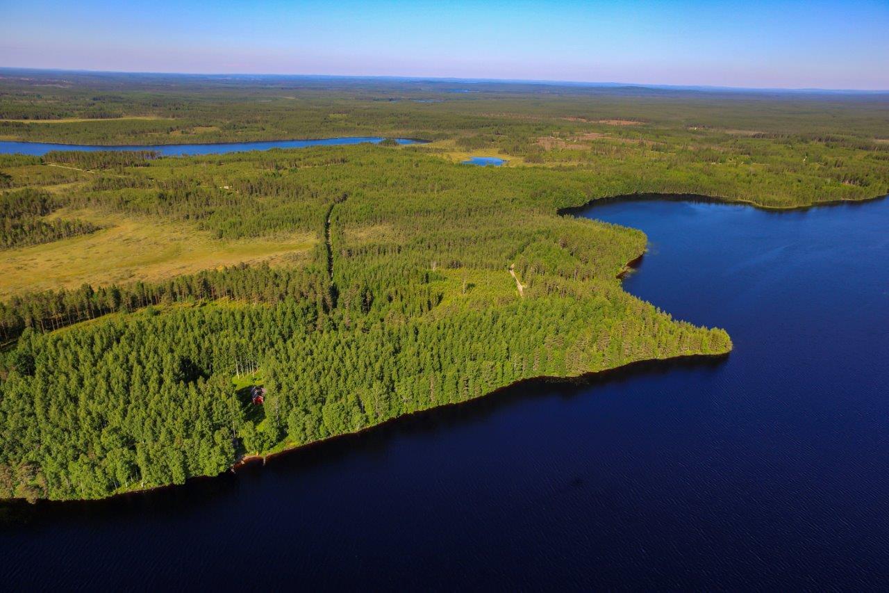 Auringossa kylpevä sekametsä, tummansininen järvi etualalla. Taustalla järviä ja metsäteitä.