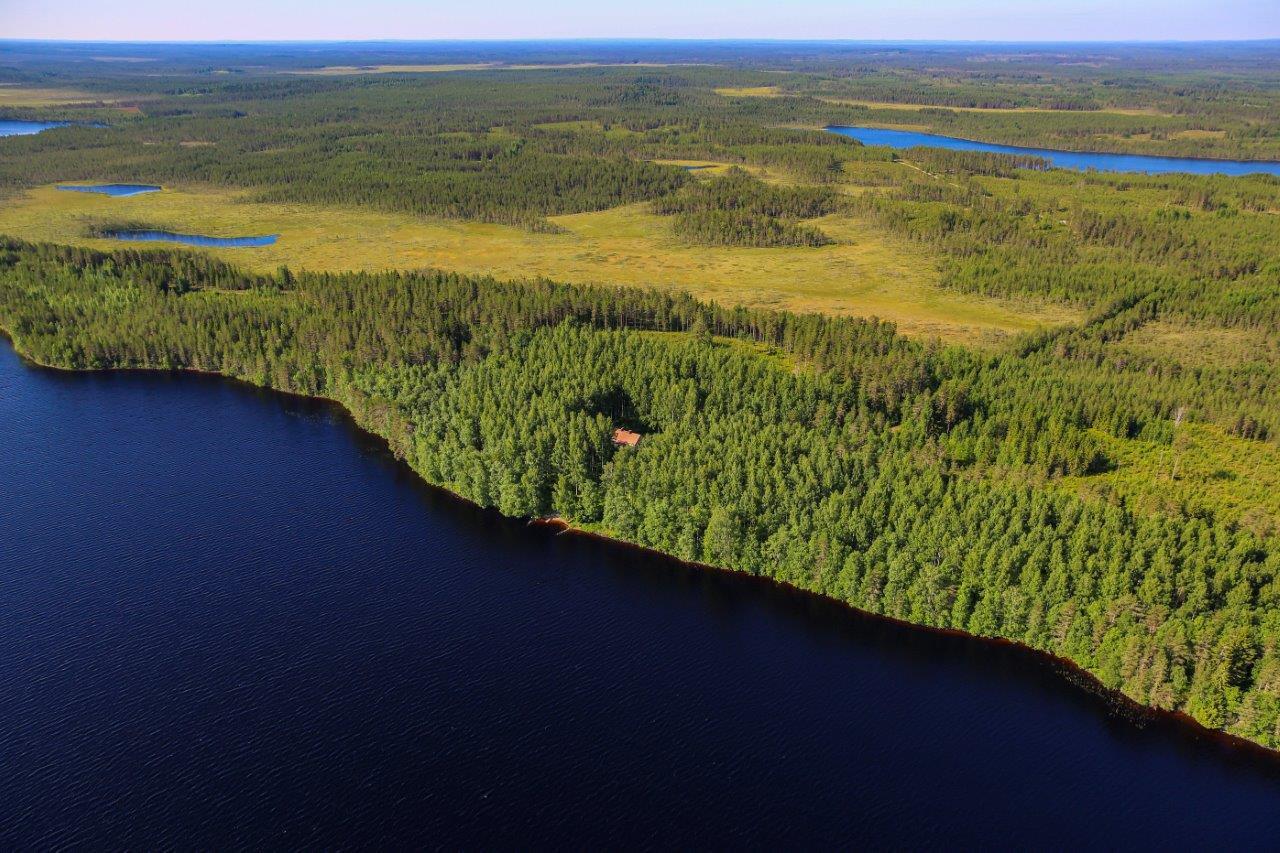 Järven rannalla sekametsää, taustalla hakkuuaukkoja, suota ja järviä.