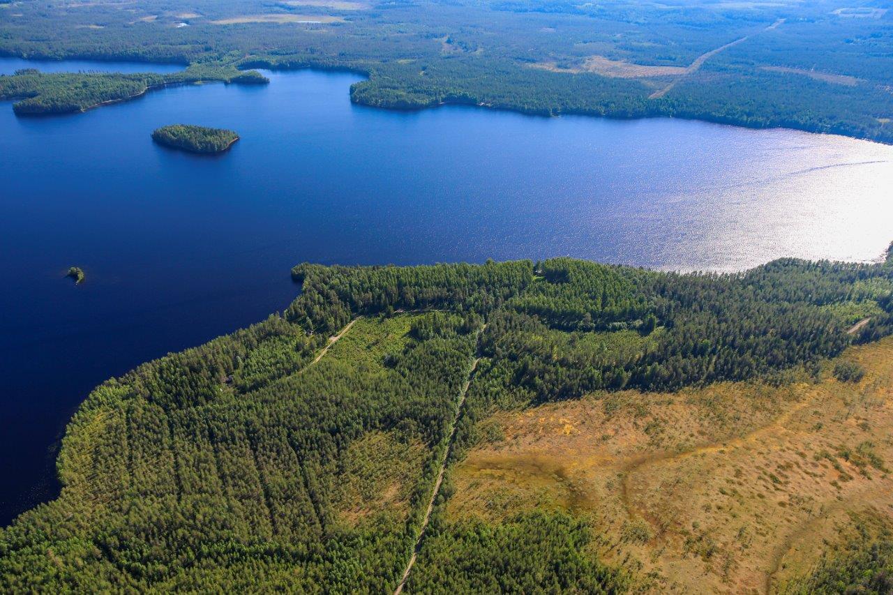 Etualalla suoalue, joka rajautuu sekametsään. Sekametsän takana järvi saarineen.