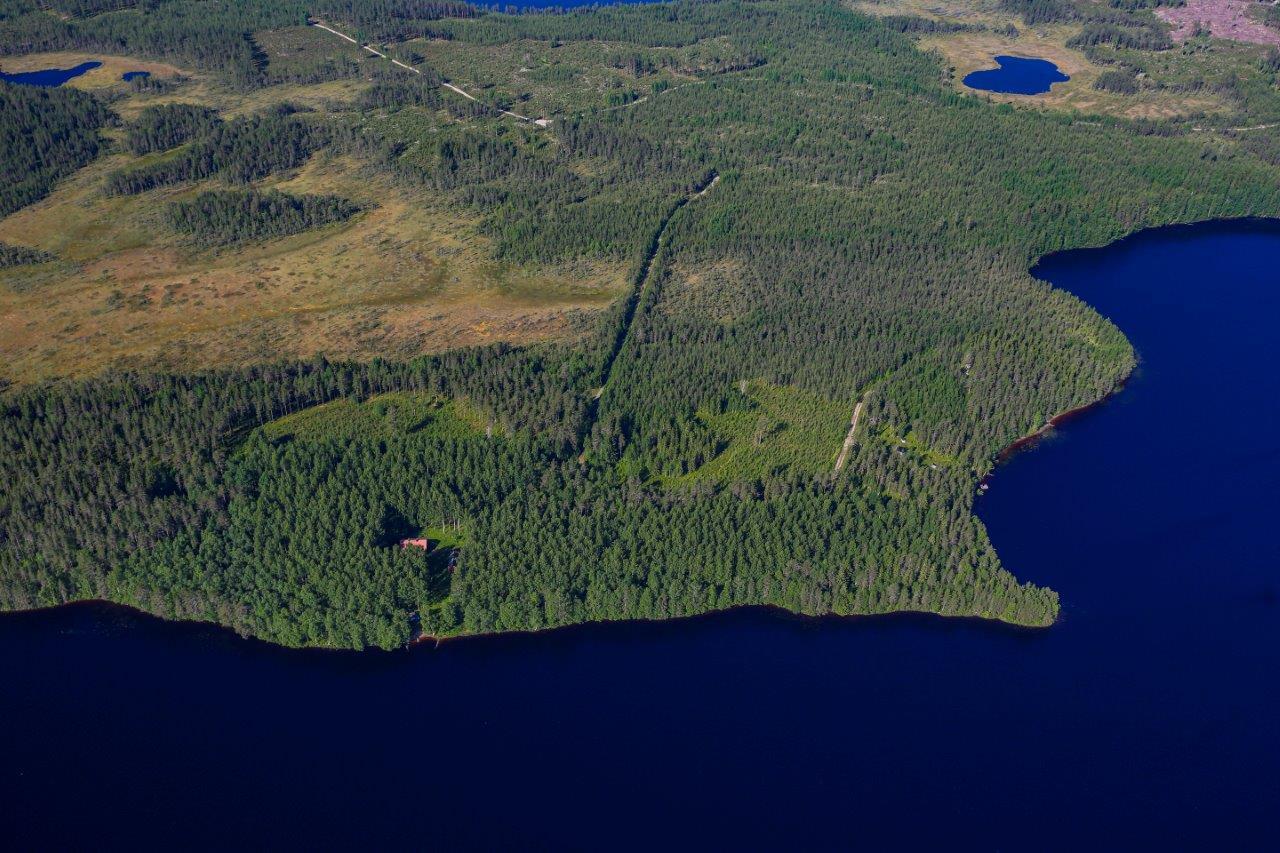 Järven rannalla sekametsää, taustalla hakkuuaukkoja ja suota.