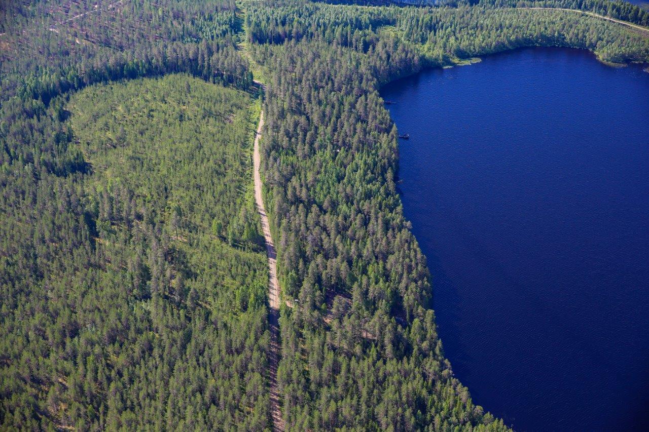 Hakkuuaukean ja rantaan rajoittuvan varttuneen sekametsän välissä kulkee hiekkatie. Oikealla järvi.