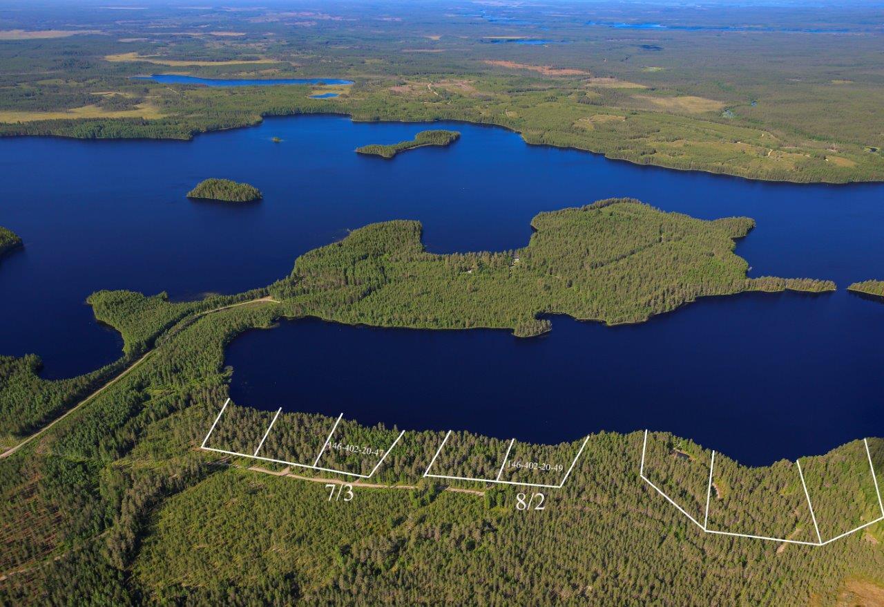 Auringossa kylpevä taimikko, taimikon takana mökkitie ja varttunut sekametsä, näkymä kauas järvelle.