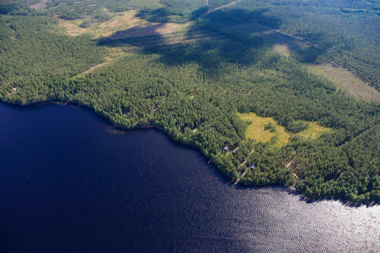 Runsaspuustoista sekametsää aurinkoisen järven rannalla. Taustalla suoalueita.