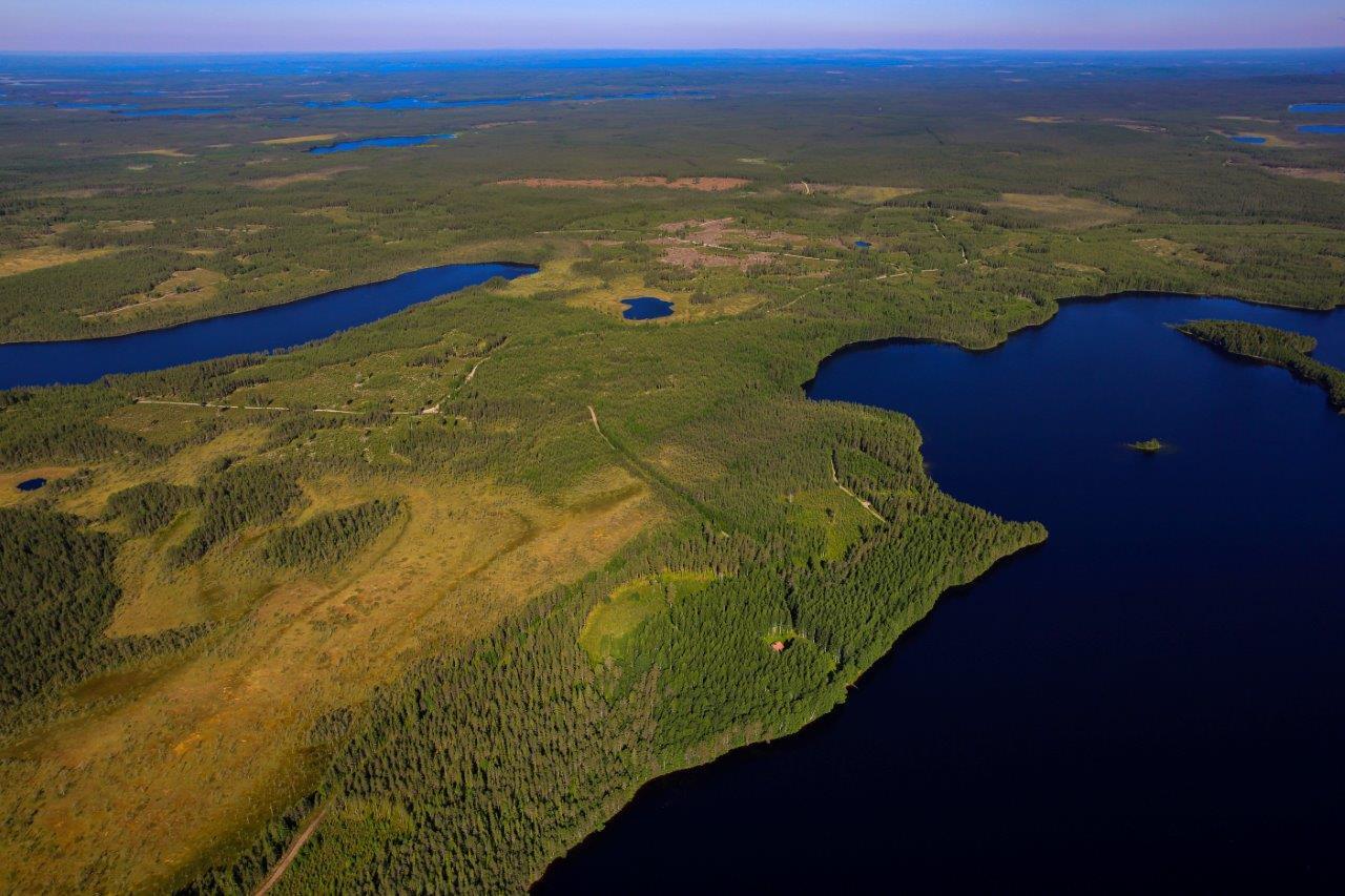 Auringossa kylpevä sekametsä, tummansininen järvi etualalla. Taustalla järviä, soita ja metsäteitä.