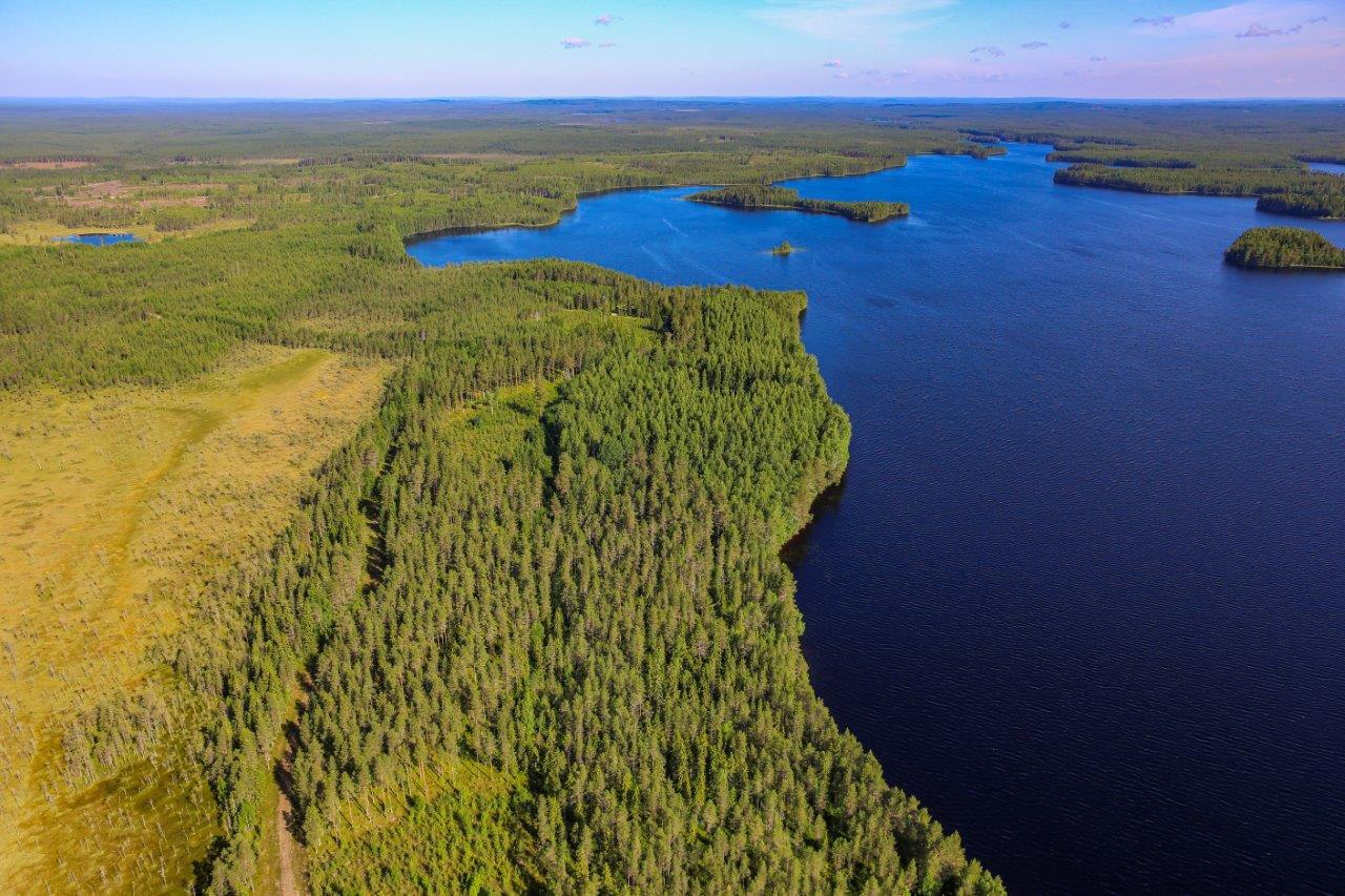 Sekametsään rajoittuva suoalue ja maisema järvenselälle.