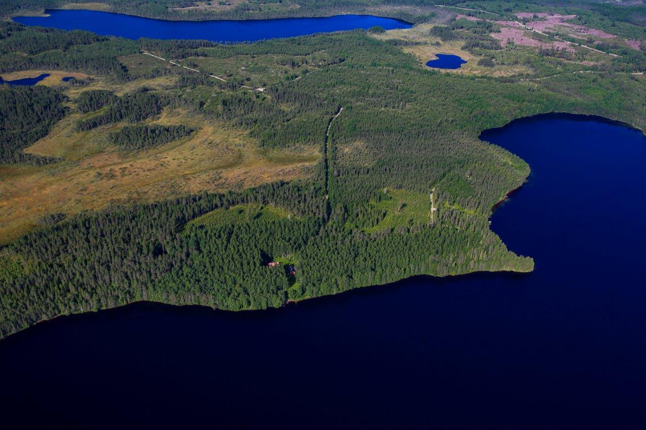 Järven rannalla sekametsää, taustalla hakkuuaukkoja, suota ja järviä.