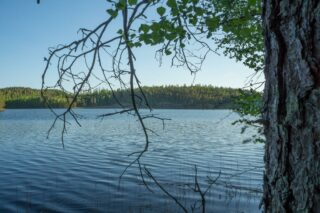 Sinisenä aaltoileva järvi, vastaranta näkyy, puun oksat työntyvät kuvaan.