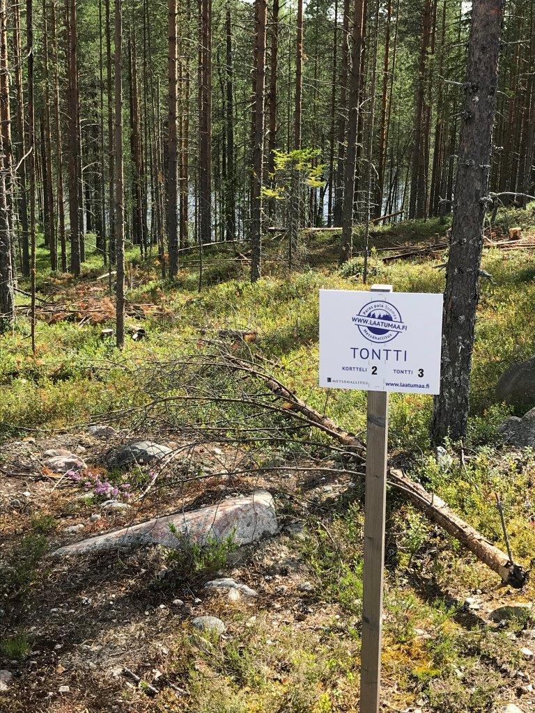 Rinteessä kasvavan mäntymetsän edustalla on kiviä kasattuna sekä Laatumaan tonttikyltti.