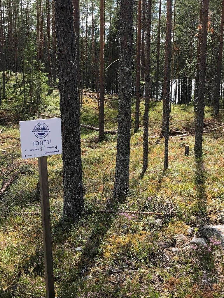 Mäntymetsä kasvaa harjumaisessa maastossa. Etualalla on Laatumaan tonttikyltti.