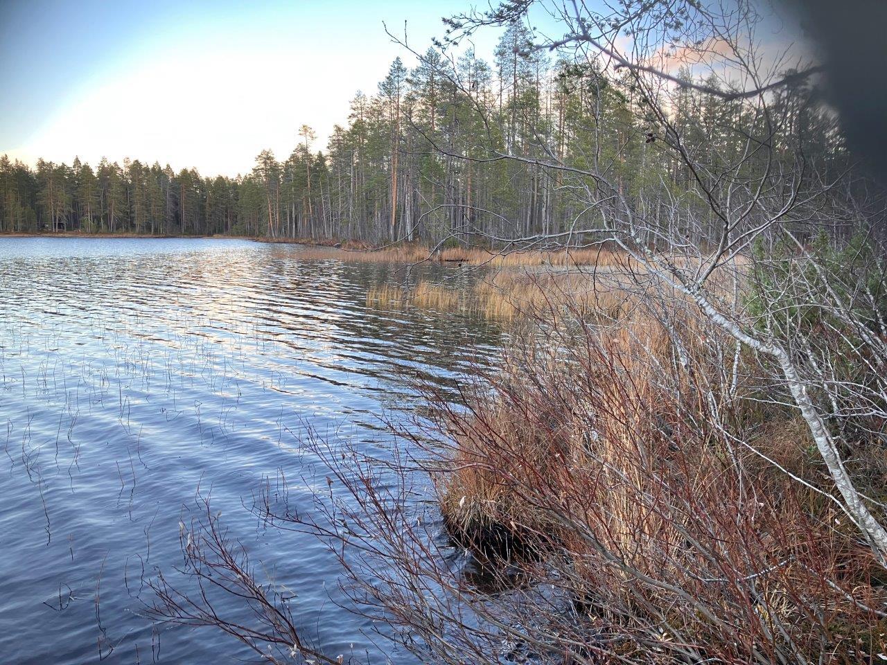 Järvimaisemaa