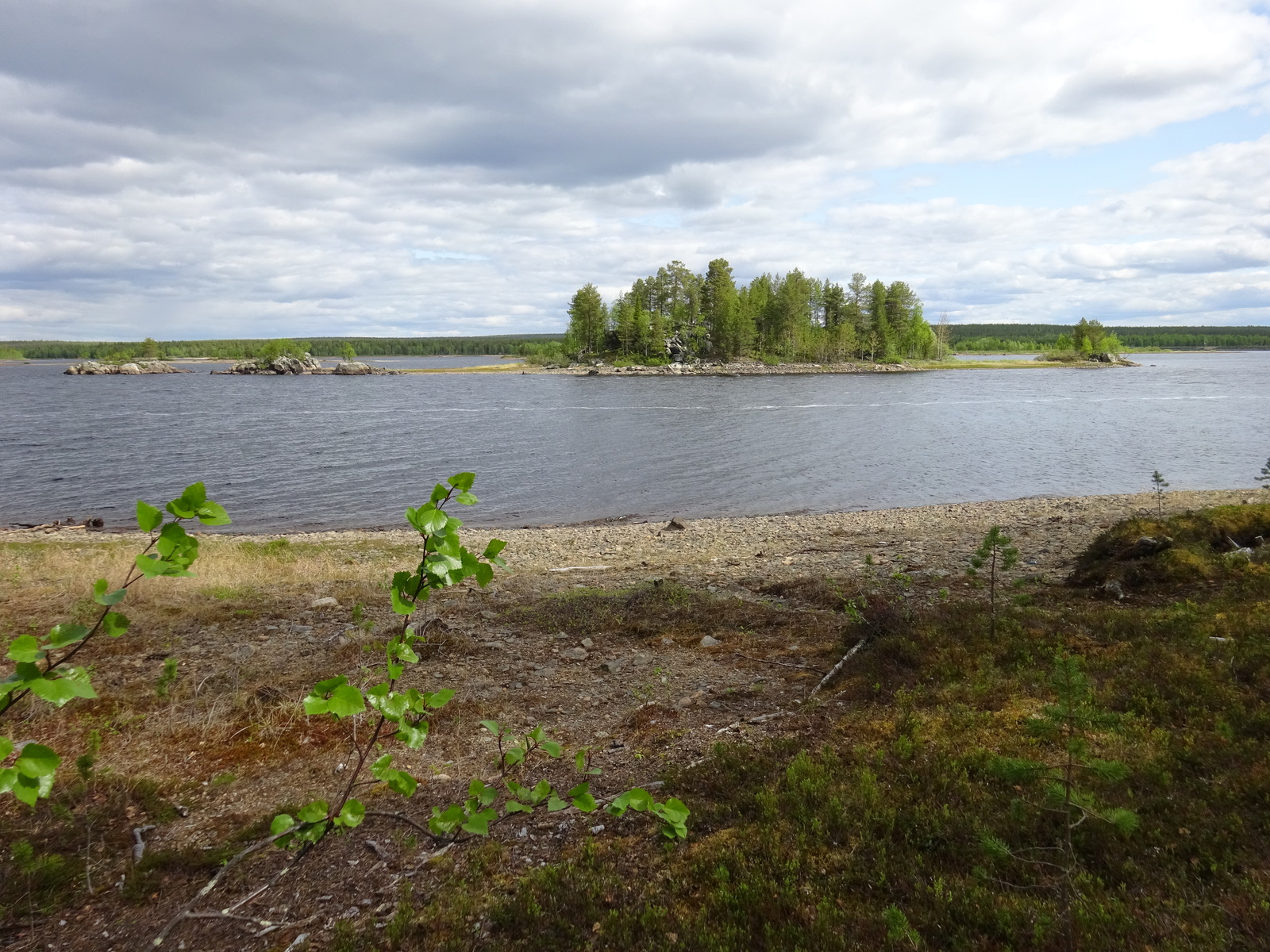 Tontin rantanäkymää järvelle päin.