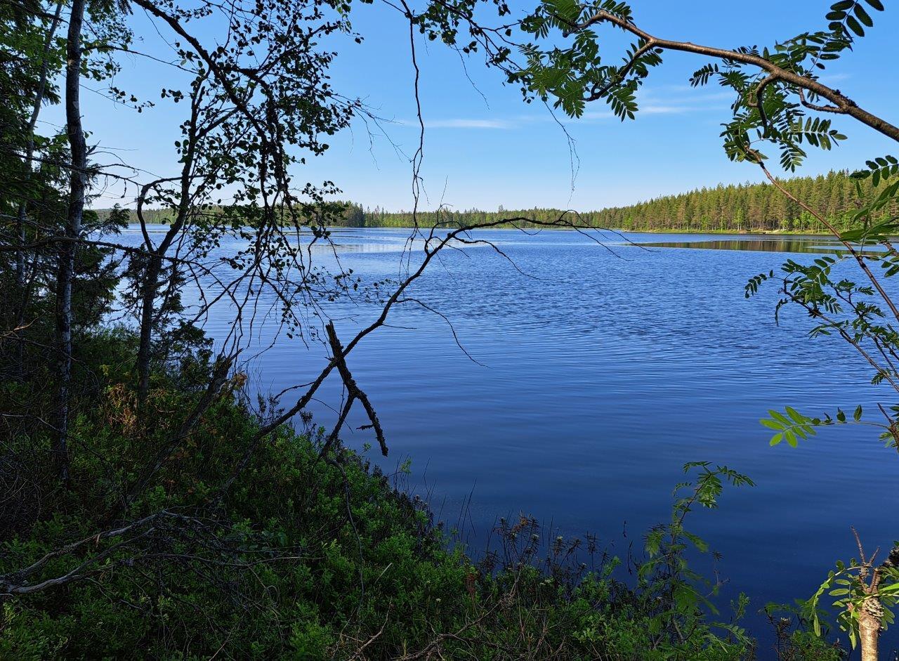 Maisema rannalta aurinkoiselle järvelle. Taivas ja järvi ovat sinisiä.