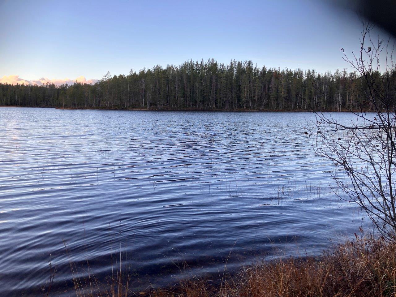 Järvimaisemaa