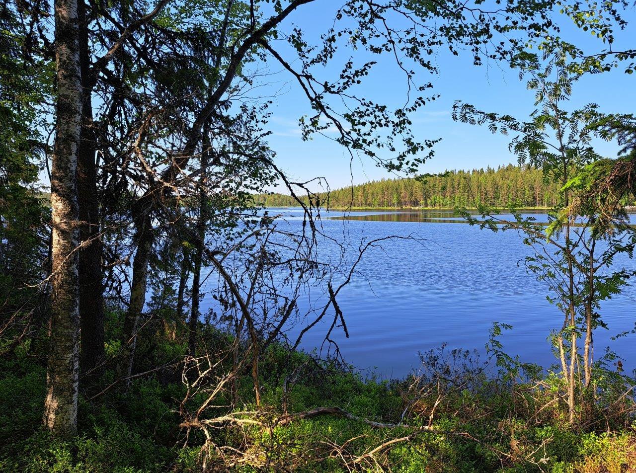 Maisema rannalta aurinkoiselle järvelle, maiseman edessä puita. Taivas ja järvi ovat sinisiä.