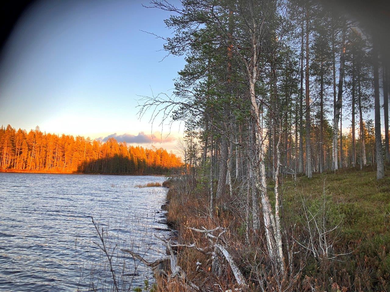 Järvimaisemaa