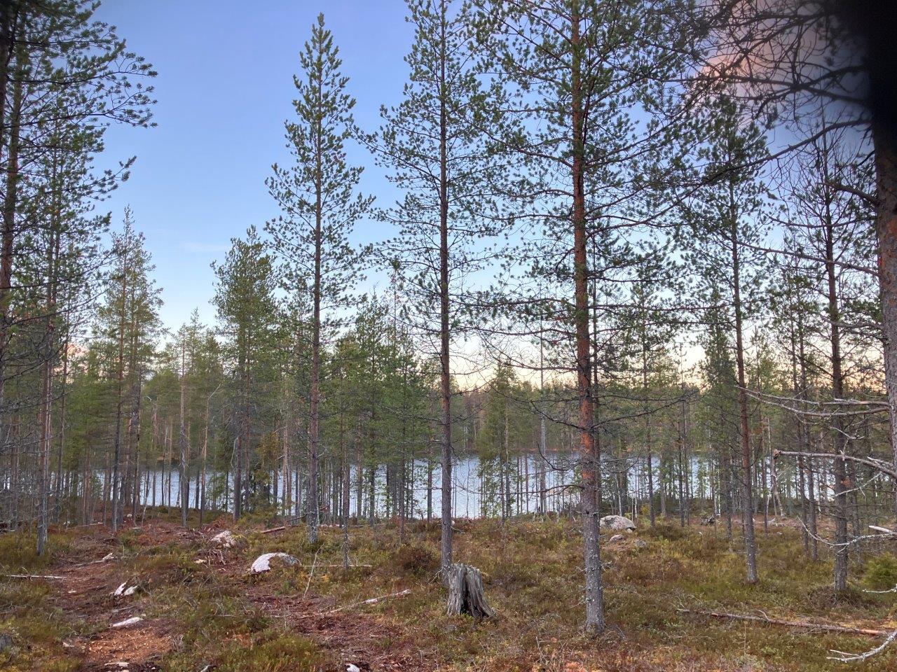 Järvimaisemaa