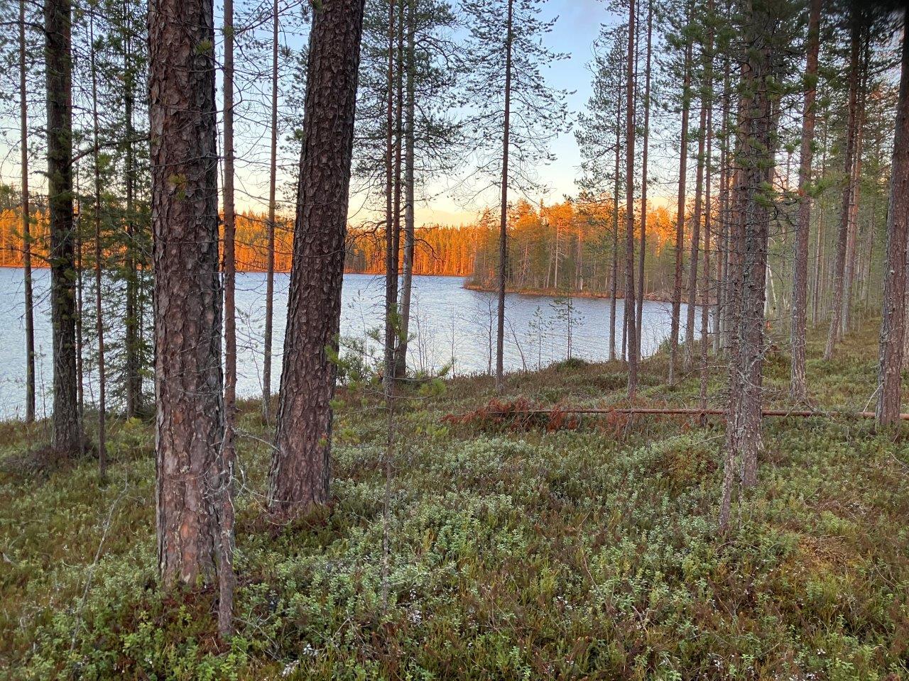 Järvimaisemaa