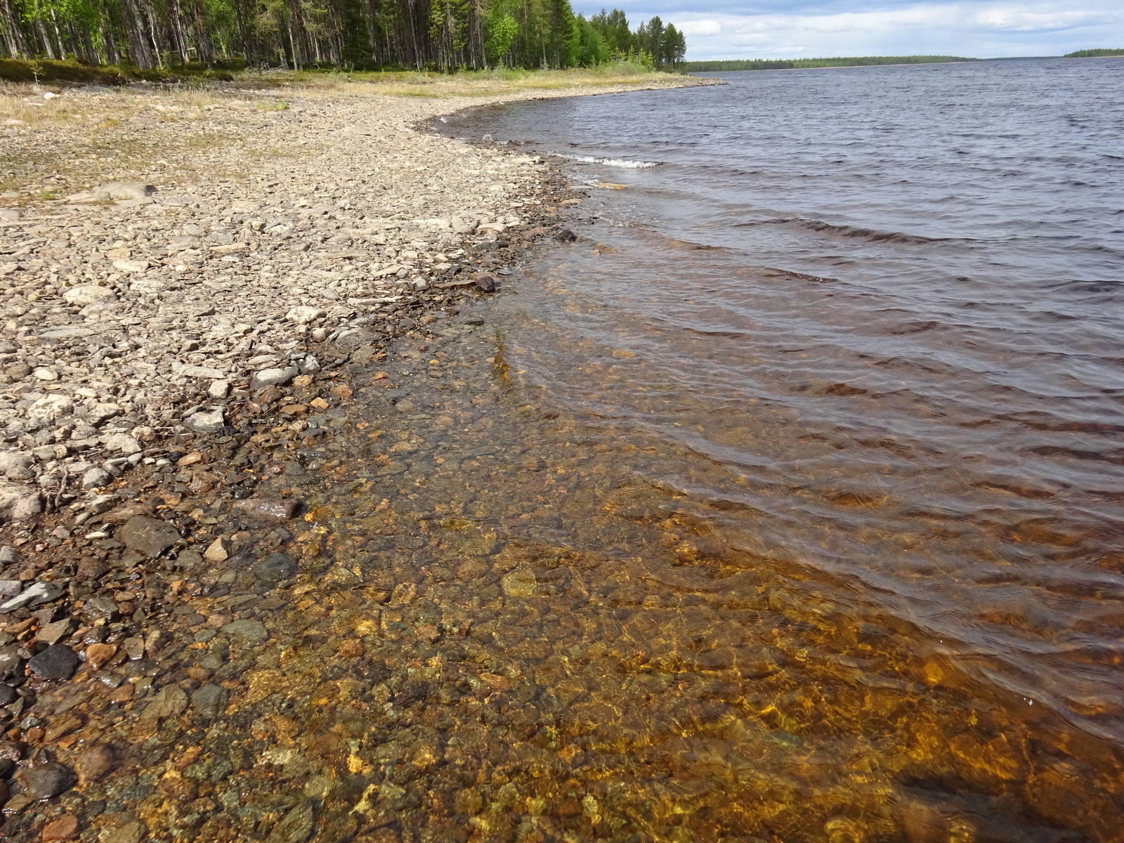 Tontin rantanäkymää.