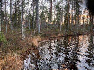 Järvimaisemaa