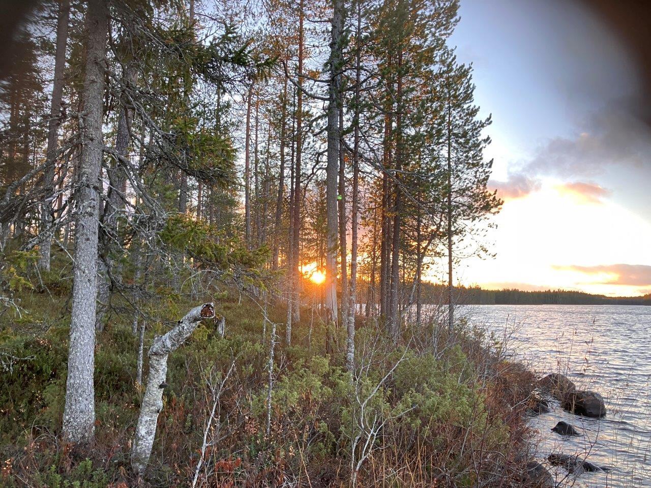 Järvimaisemaa